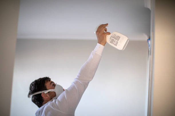 Best Mold Removal Near Me  in South Toms River, NJ