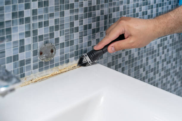 Best Mold Removal Near Me  in South Toms River, NJ
